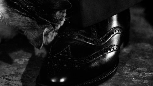 The Third Man