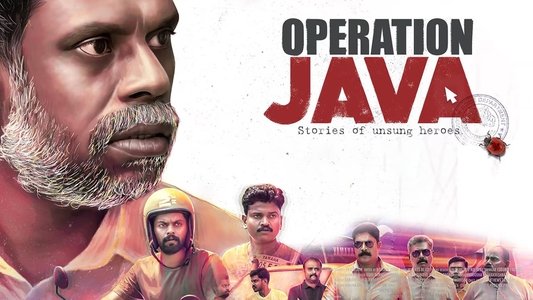 ഓപ്പറേഷൻ ജാവ
