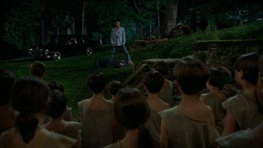 Species II