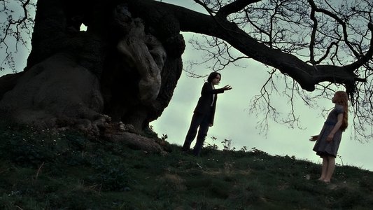 Harry Potter and the Deathly Hallows: Part 2