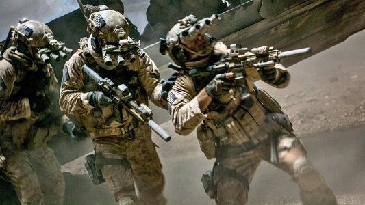Zero Dark Thirty
