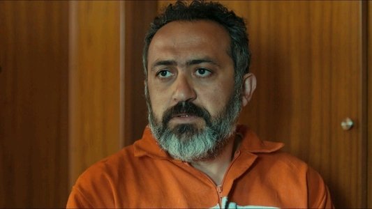 Sarmaşık