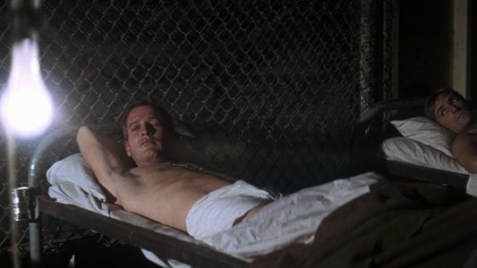 Cool Hand Luke