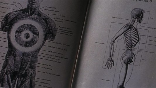 Donnie Darko