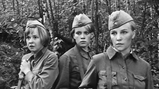 ...А зори здесь тихие