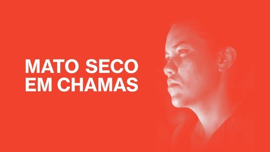 Mato Seco em Chamas