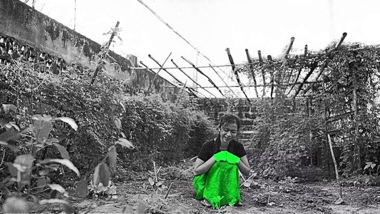 Cleaners