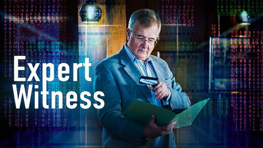 Expert Witness