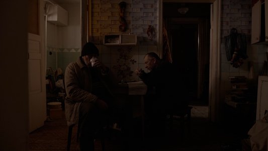 Сірі бджоли