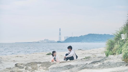 恋に至る病