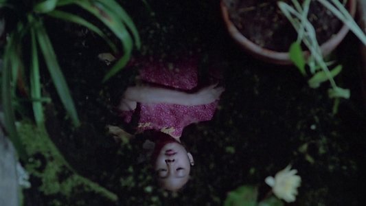Mùi đu đủ xanh