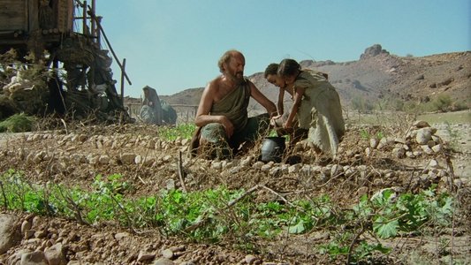 Genesi: La creazione e il diluvio