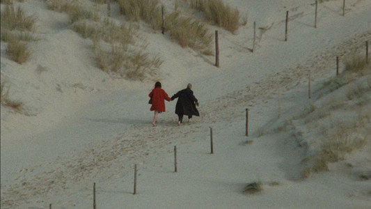 Les Amants du Pont-Neuf