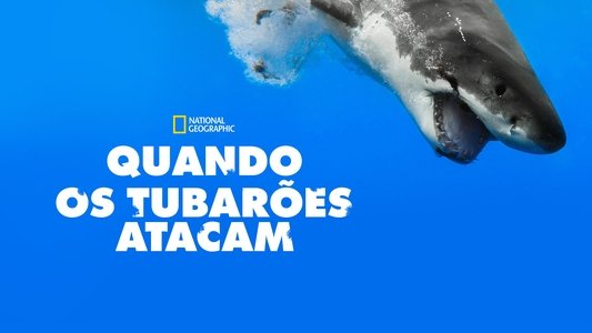 When Sharks Attack