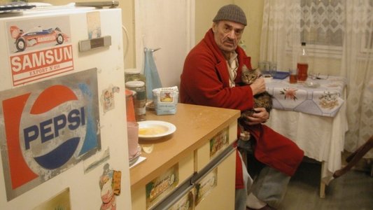 Moartea domnului Lăzărescu