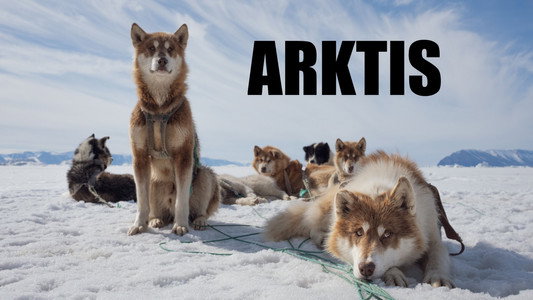 Arctic: Our Frozen Planet