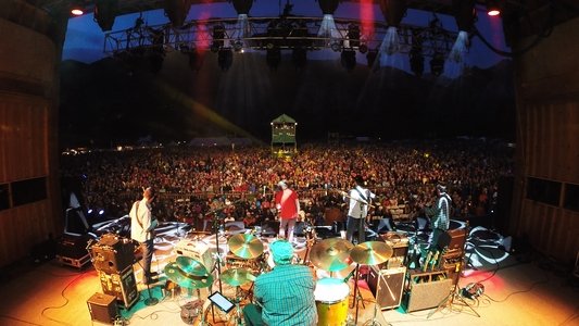 Revival: The Sam Bush Story