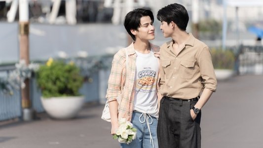 แฟนที่ทันตแพทย์ส่วนใหญ่แนะนำ