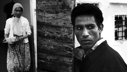 Marxist Poetry: The Making of The Battle of Algiers