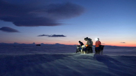 Musher, l'appel de l'Alaska