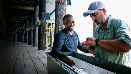 Shark Beach with Anthony Mackie