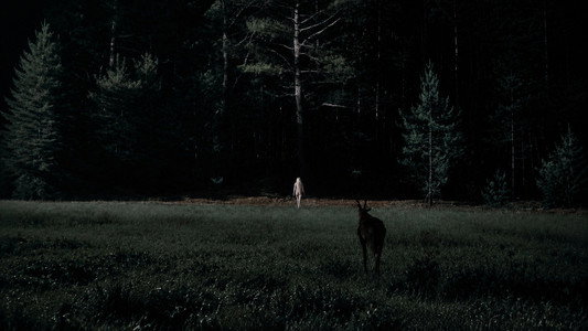 The Witch