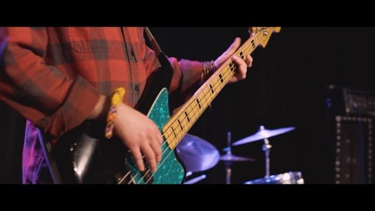 Chicken Strips: The Trials and Tribulations of Becoming a Garage Band