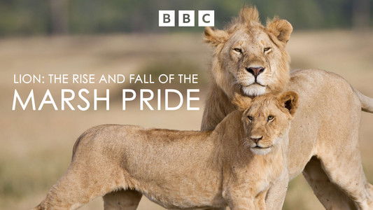 Lion: The Rise and Fall of the Marsh Pride