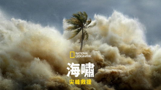 Tsunami: Race Against Time