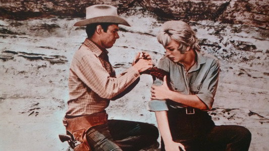 Gunpoint