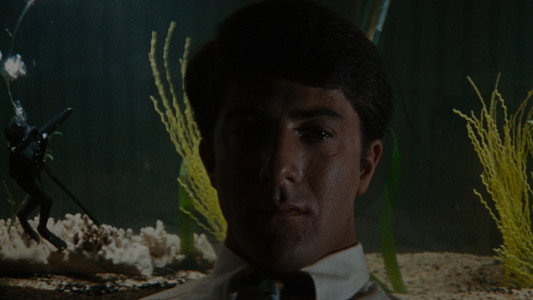 The Graduate