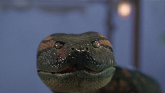 Anaconda