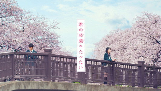 君の膵臓をたべたい
