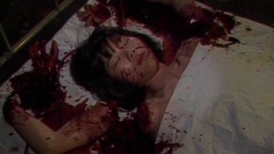ギニーピッグ2 血肉の華