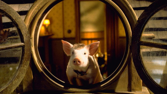Babe: Pig in the City