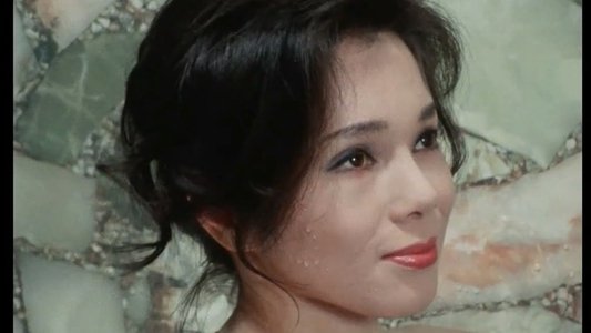 江戸川乱歩シリーズ 魅せられた美女