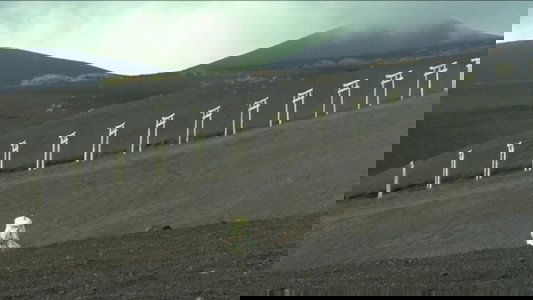 嵐が丘