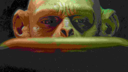 Humanzee