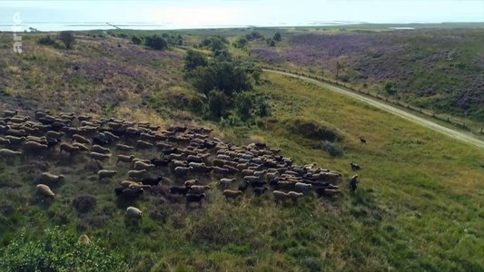 Sylt - Wellen, Wind und Watt