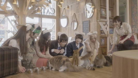 猫カフェ