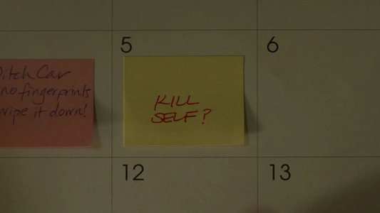 Gone Girl