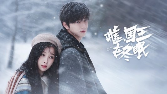 嘘，国王在冬眠