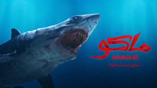 ماكو
