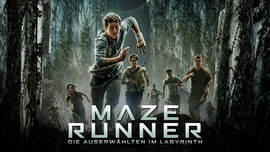 The Maze Runner