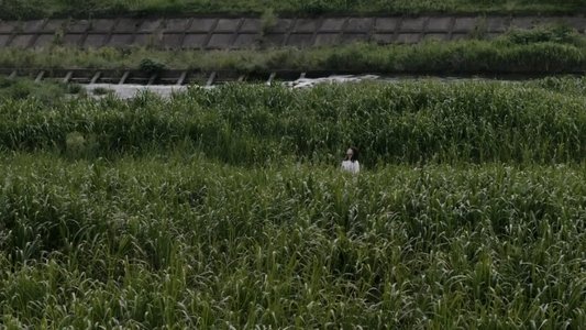 寝ても覚めても