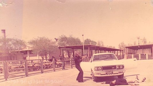 ذئاب لا تاكل اللحم‎
