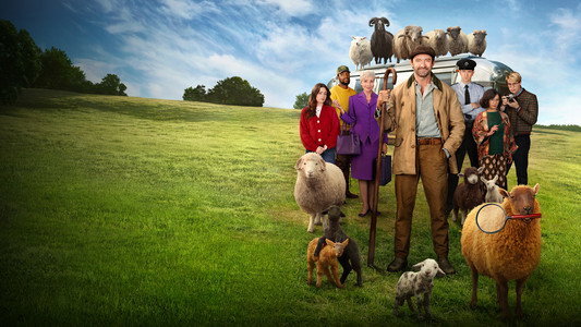 The Sheep Detectives