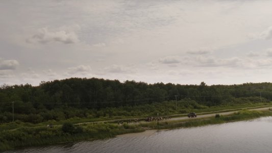 The Long Walk