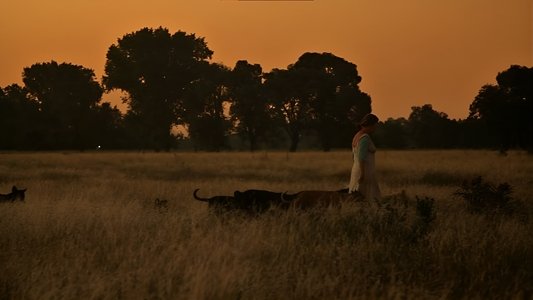 La mujer de los perros
