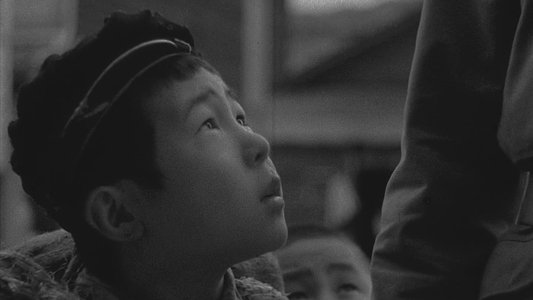 蜂の巣の子供たち